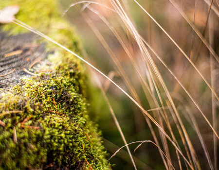 Paarberatung – wenn Nähe verloren geht & ihr euch wiederfinden wollt